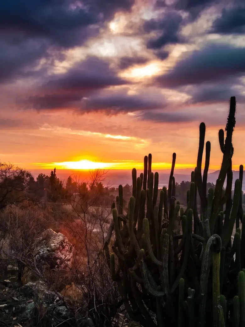 Atardecer sobre el Lago Rapel desde el loteo